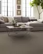 Artistic Fusion I Pet Friendly 43oz Carpet