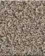 Artistic Fusion I Pet Friendly 43oz Carpet