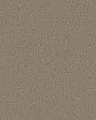 Artistic Fusion I Pet Friendly 43oz Carpet