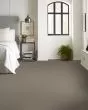 Artistic Fusion II Pet Friendly Carpet