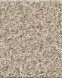 Tweed Comfort I Vacay 41oz Carpet