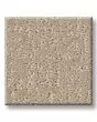 Charming Desire 34oz Patterned Pet Friendly Carpet