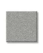 Smooth Tone Icy Mist 58oz Textured Pet Friendly Carpet