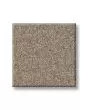 Smooth Tone Latte 58oz Textured Pet Friendly Carpet