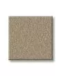 Smooth Tone Mirage 58oz Textured Pet Friendly Carpet