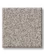 Timeless Tone Icy Mist 58oz Textured Pet Friendly Carpet