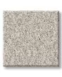 Timeless Tone Minimalist 58oz Textured Pet Friendly Carpet
