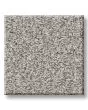 Timeless Tone Distant Star 58oz Textured Pet Friendly Carpet