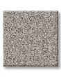Timeless Tone Magnetic 58oz Textured Pet Friendly Carpet