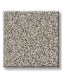 Timeless Tone Gateway Grey 58oz Textured Pet Friendly Carpet