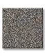 Timeless Tone Mysterious 58oz Textured Pet Friendly Carpet