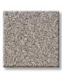 Timeless Tone Latte 58oz Textured Pet Friendly Carpet