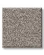 Timeless Tone Ridgeline 58oz Textured Pet Friendly Carpet