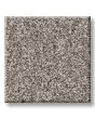 Timeless Tone Driftwood 58oz Textured Pet Friendly Carpet