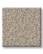 Timeless Tone Mirage 58oz Textured Pet Friendly Carpet