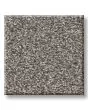 Timeless Tone Night Owl 58oz Textured Pet Friendly Carpet
