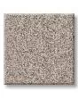 Timeless Tone Blissful Blush 58oz Textured Pet Friendly Carpet
