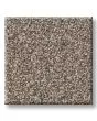 Timeless Tone Warm Sunset 58oz Textured Pet Friendly Carpet