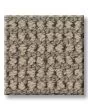 Knitted Tone Latte 40oz Patterned Loop Pet Friendly Carpet