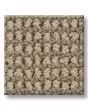 Knitted Tone Mirage 40oz Patterned Loop Pet Friendly Carpet