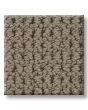 Knitted Tone Natural Stone 40oz Patterned Loop Pet Friendly Carpet