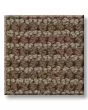 Knitted Tone Warm Sunset 40oz Patterned Loop Pet Friendly Carpet