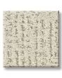 Curated Tone 40oz Patterned Pet Friendly Carpet