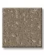 Curated Tone Natural Stone 40oz Patterned Pet Friendly Carpet
