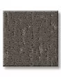 Curated Tone Night Owl 40oz Patterned Pet Friendly Carpet