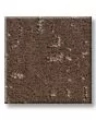 Curated Tone Warm Sunset 40oz Patterned Pet Friendly Carpet