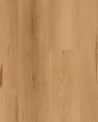 Cali Longboards Dana Landing Vinyl Plank
