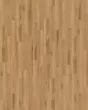 Cali Longboards Dana Landing Vinyl Plank