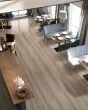 Cali Select Brigantine Pine Vinyl Plank