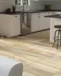 Cali Windansea Natural Elm Vinyl Plank