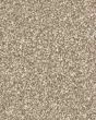 Stonecrest Heartfelt Textured 105oz PET Cloud 9 Carpet