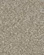 Stonecrest Devoted Textured 105oz PET Cloud 9 Carpet