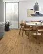 Artisan Oak Linseed White Oak 7" Hardwood