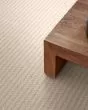 Abbeys Road Pattern Pet Friendly Carpet
