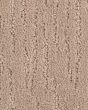 Abiding Notion SmartStrand Patterned Carpet