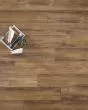 Adura Apex Napa Tannin Luxury Vinyl