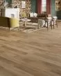 Adura Flex Plank Calico Lynx Luxury Vinyl