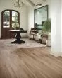 Adura Flex Plank Preservation Artifact Luxury Vinyl