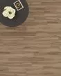 Adura Flex Plank Preservation Artifact Luxury Vinyl