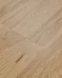 Adura Flex Plank Preservation Fossil Luxury Vinyl
