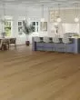 Adura Flex Plank Regency Oak Gilded Gold Luxury Vinyl