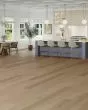 Adura Flex Plank Regency Oak Polished Platinum Luxury Vinyl