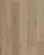 Adura Flex Plank Regency Oak Polished Platinum Luxury Vinyl