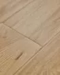 Adura Max Plank Preservation Fossil Luxury Vinyl