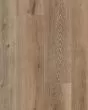 Cali Windansea High Tide Aged Hickory Vinyl