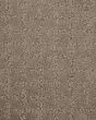 Ageless Look Pebblestone Carpet